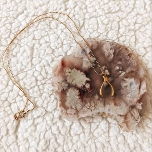 Wishbone pendant necklace 🌟